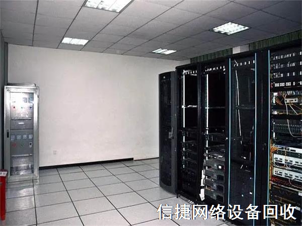3543268.jpg
